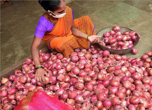 Onion Price