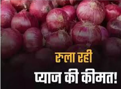 Onion Price